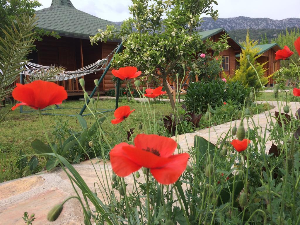 Cirali Armira Bungalow Quarto foto